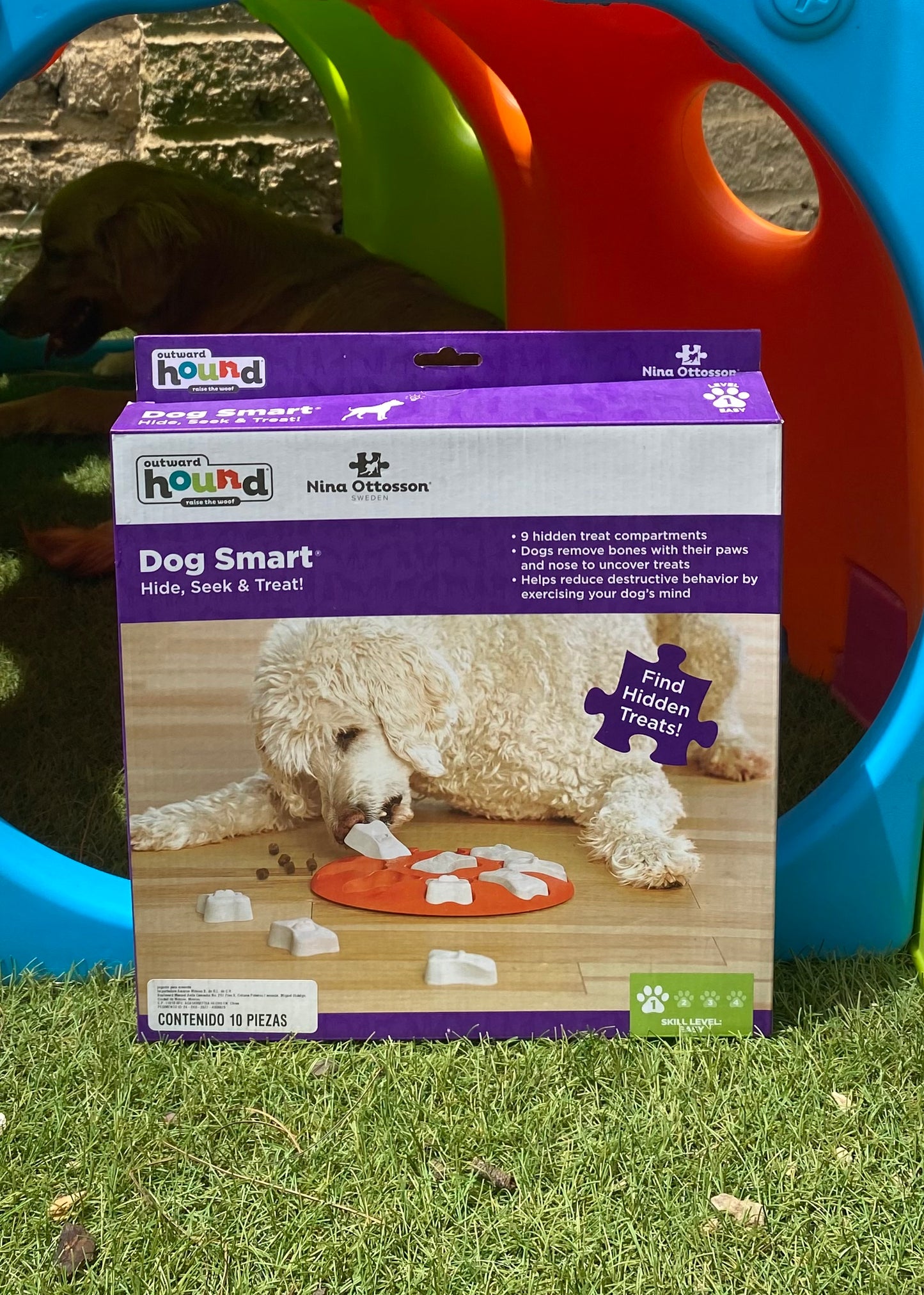 Rompecabezas Dog Smart