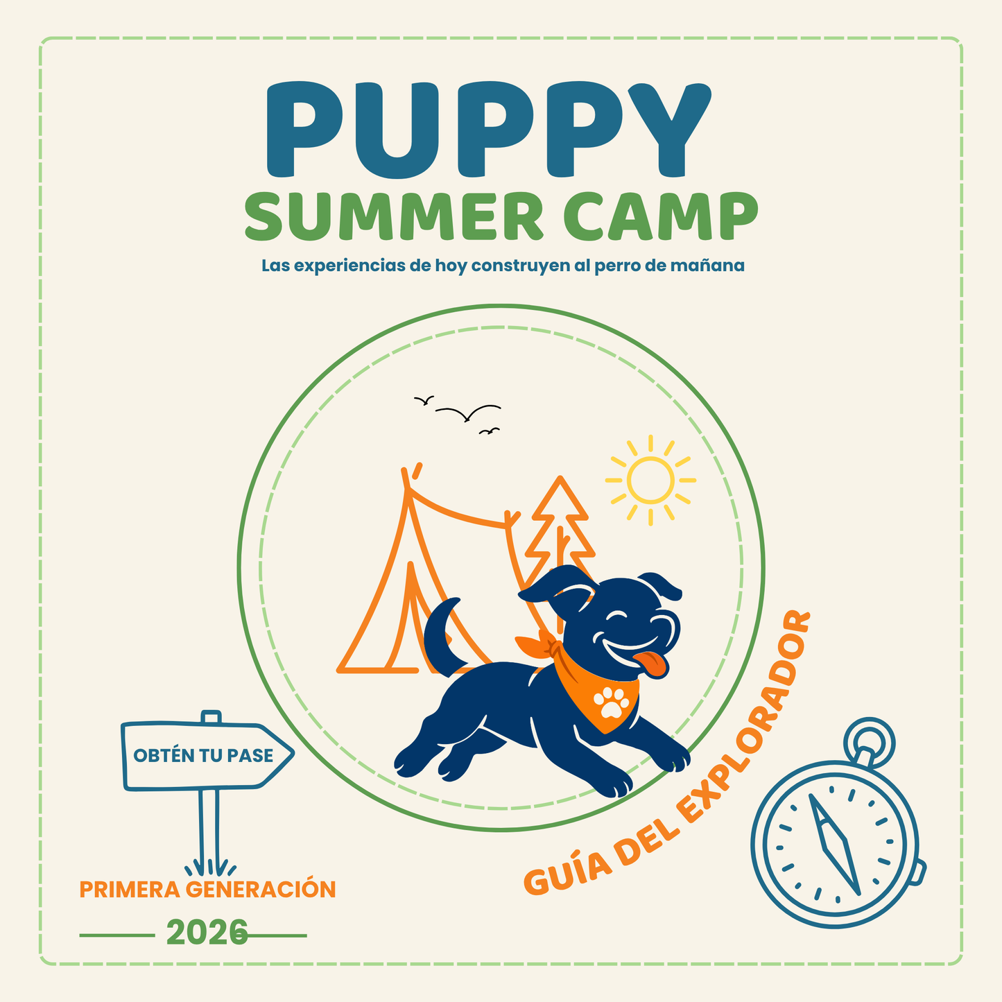 Puppy Summer Camp | Programa Completo