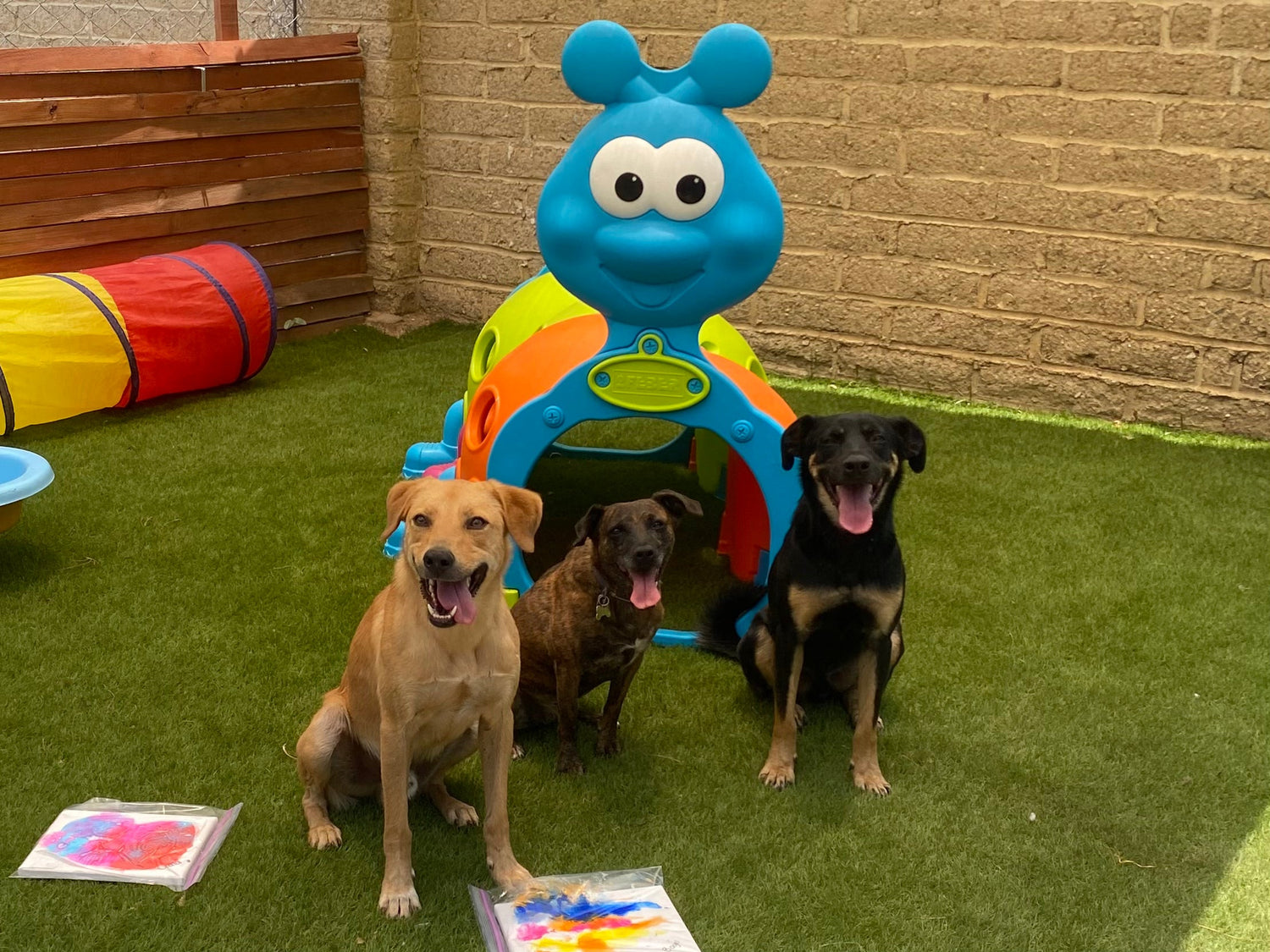 Favoritos de la manada