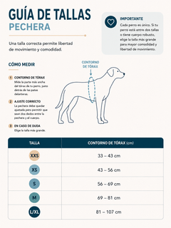 Arnés Front Range® de Ruffwear