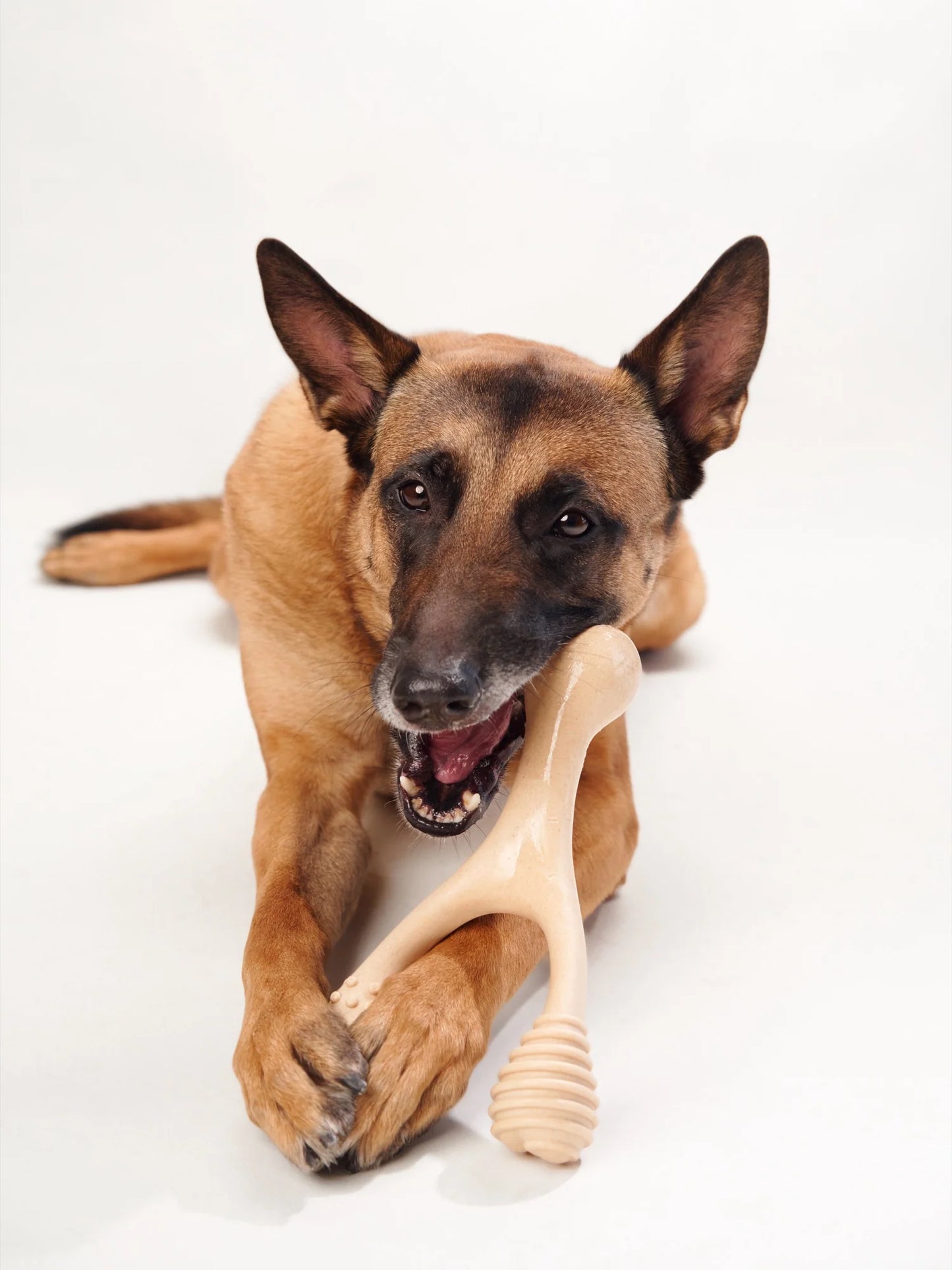 BetterBone TOUGH: Hueso Masticable HIPOALERGENICO para Perros Destructores GRANDE