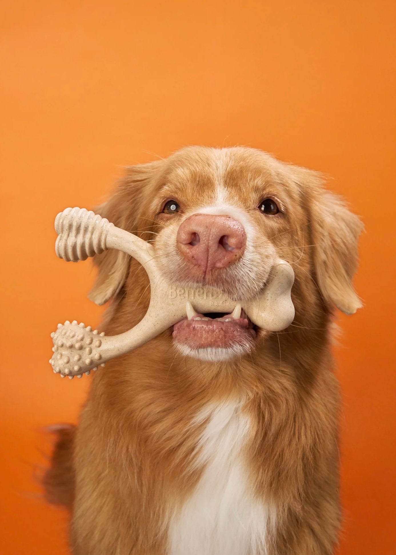 BetterBone TOUGH: Hueso Masticable HIPOALERGENICO para Perros Destructores GRANDE