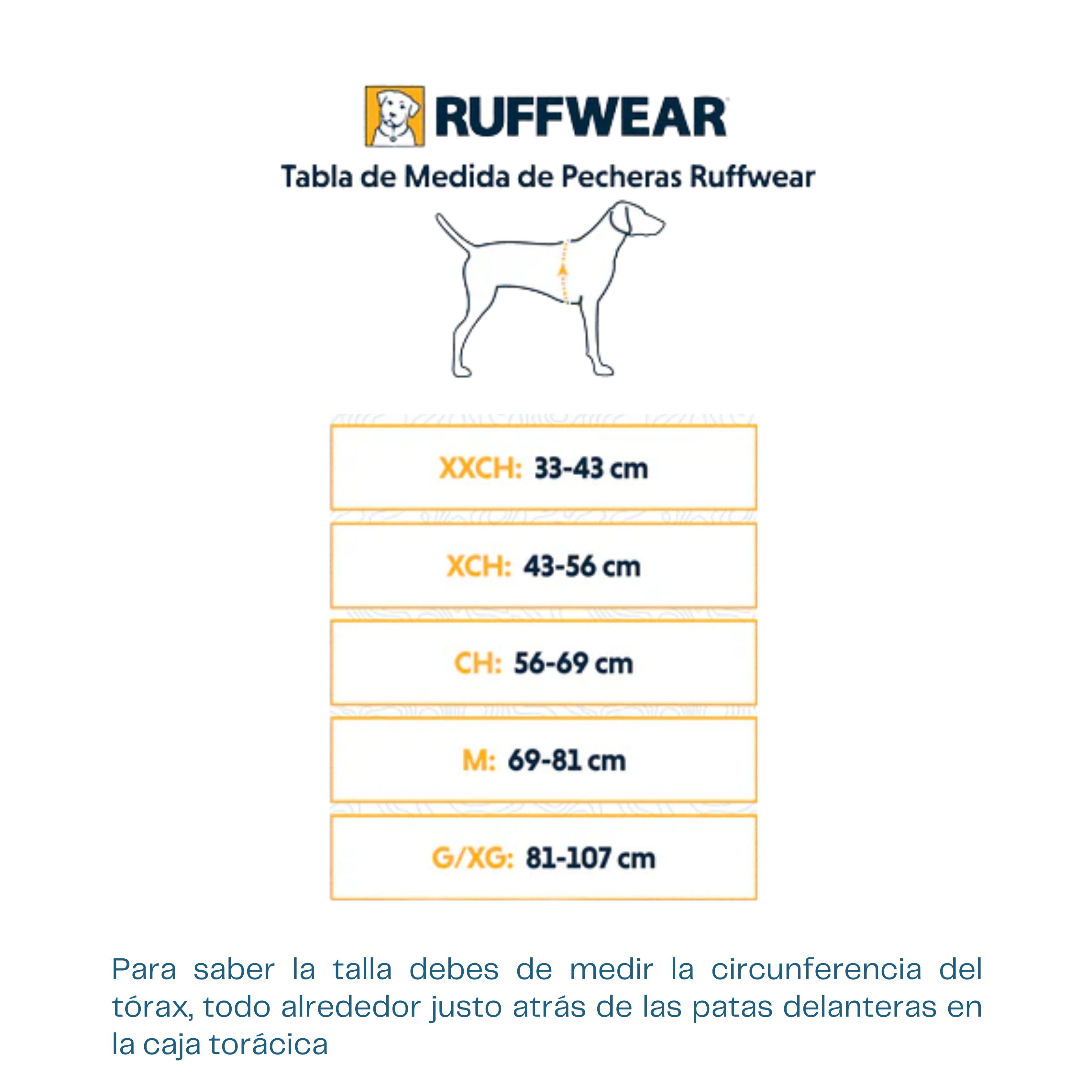 Arnés Front Range Blue Pool de Ruffwear