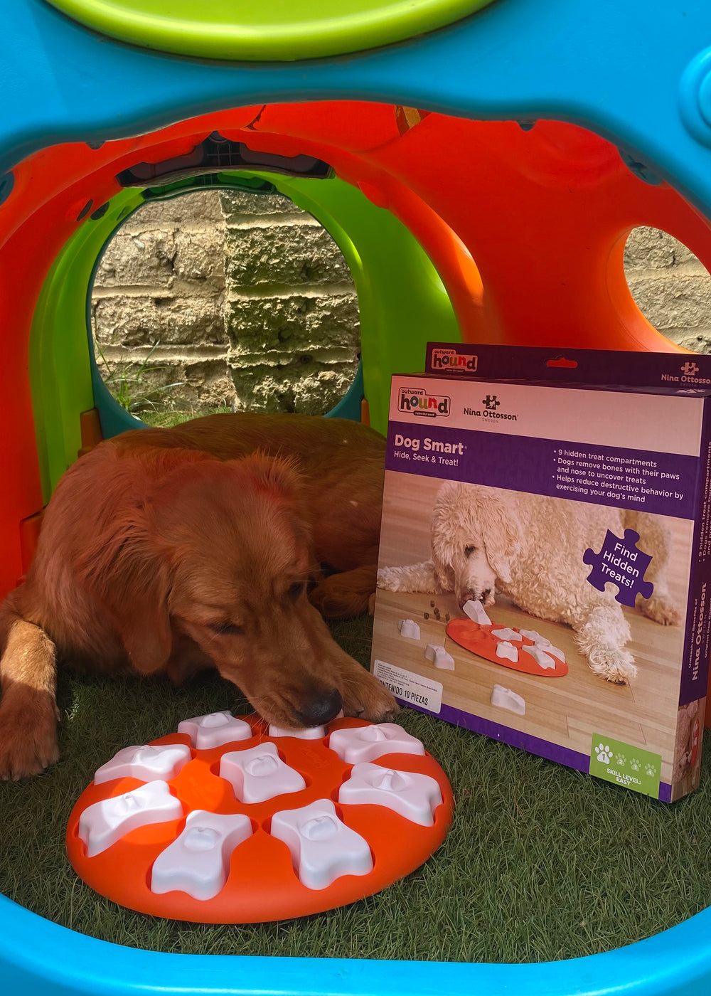 Rompecabezas Dog Smart