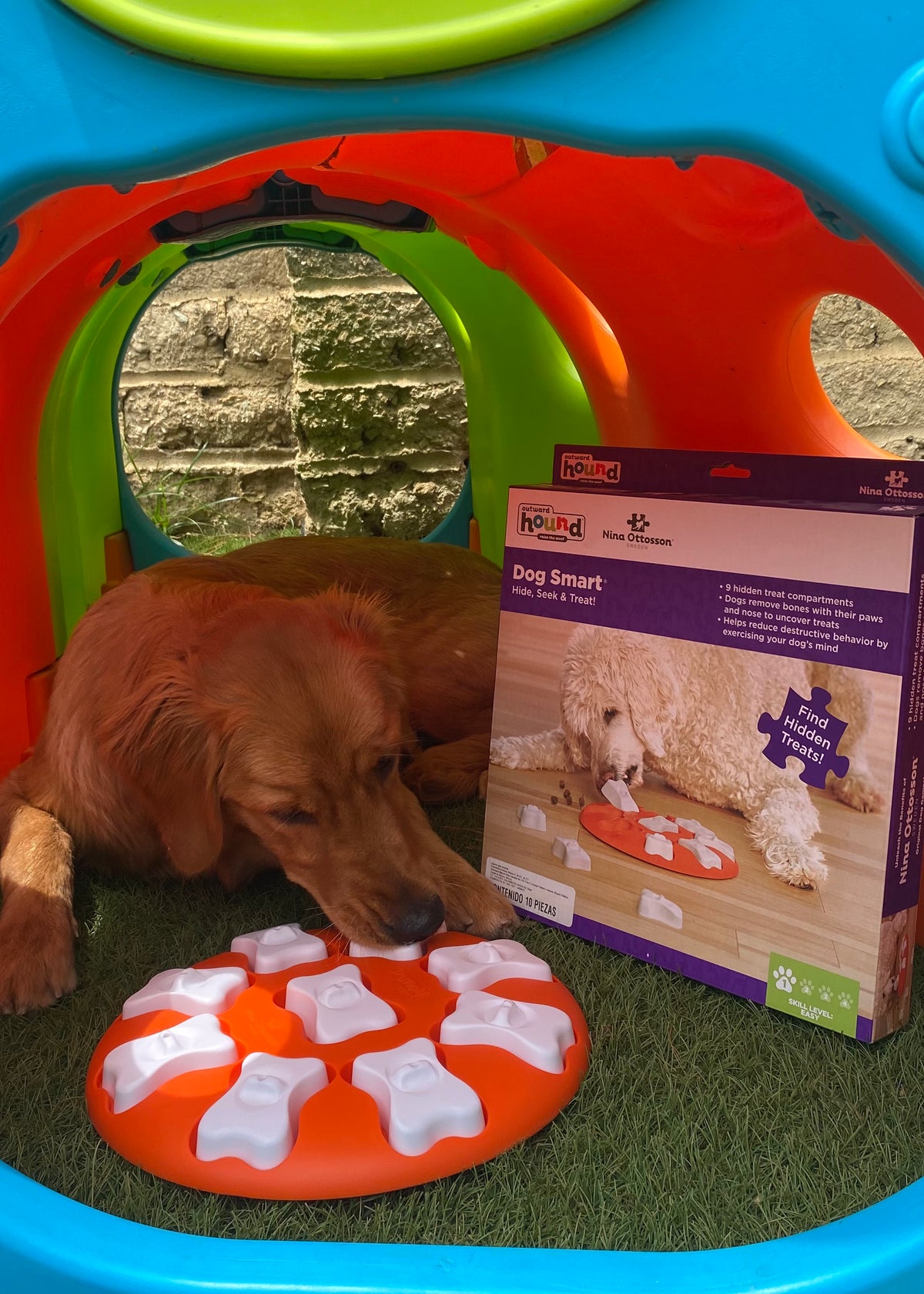 Rompecabezas Dog Smart