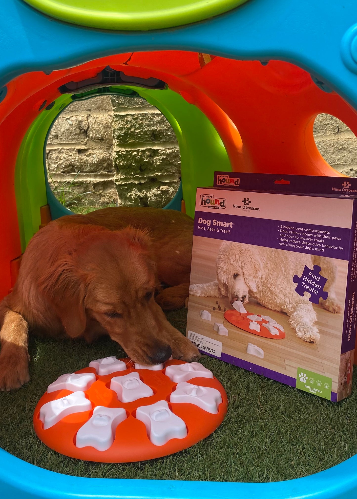 Rompecabezas Dog Smart