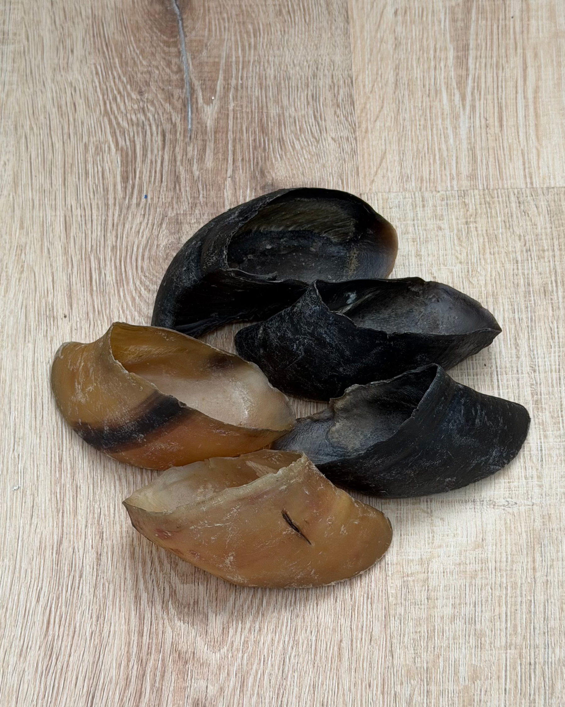 Beef Stomp (pezuña de res)