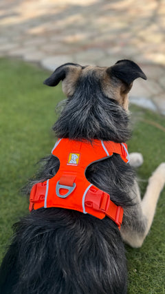 Arnés Front Range® de Ruffwear