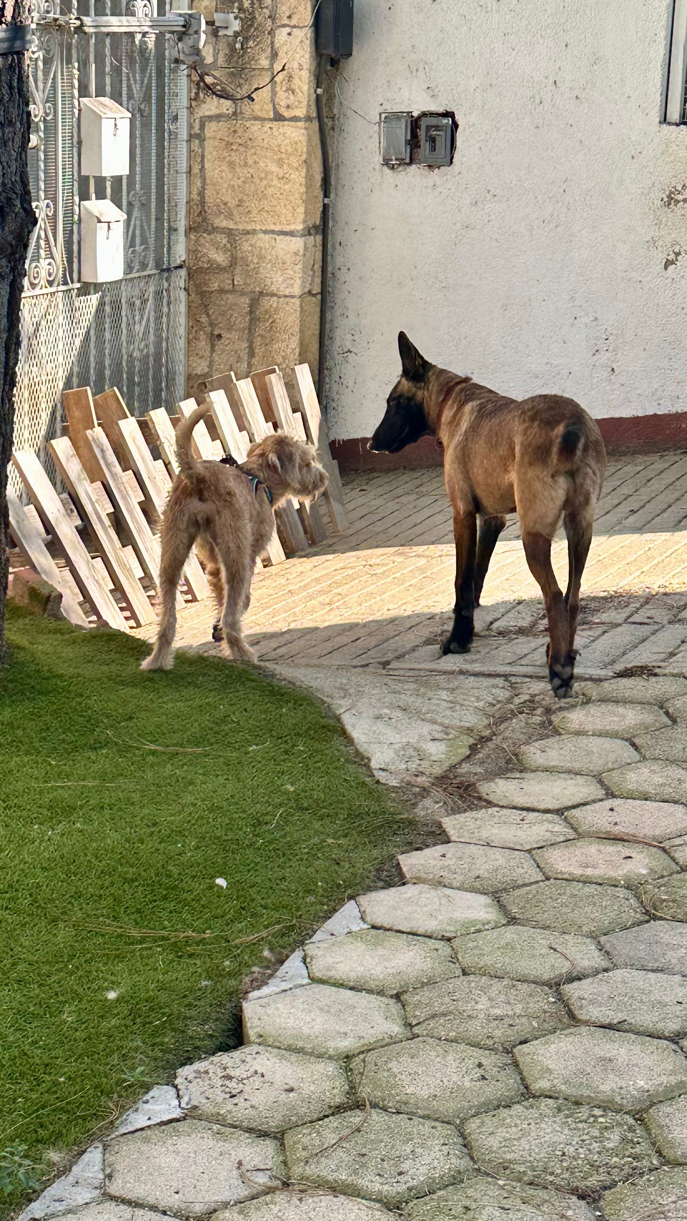 Explorando con los sentidos