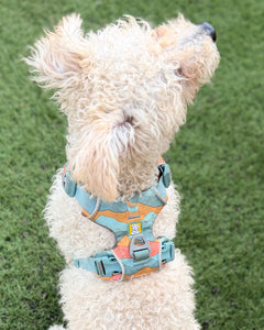 Arnés Front Range® de Ruffwear