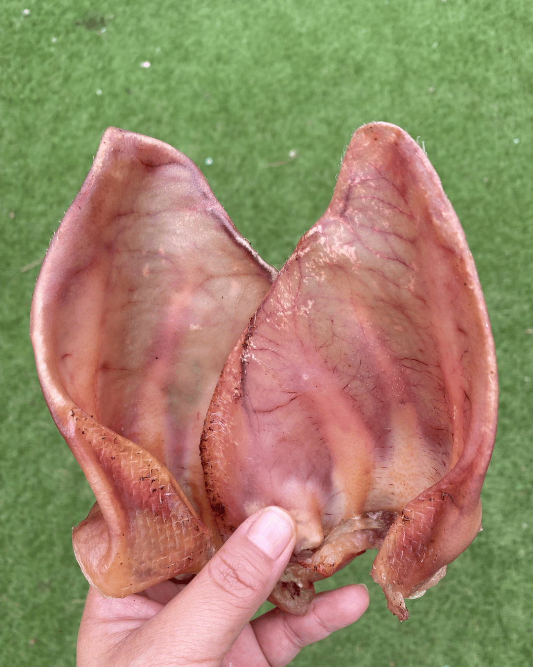 Oreja de cerdo