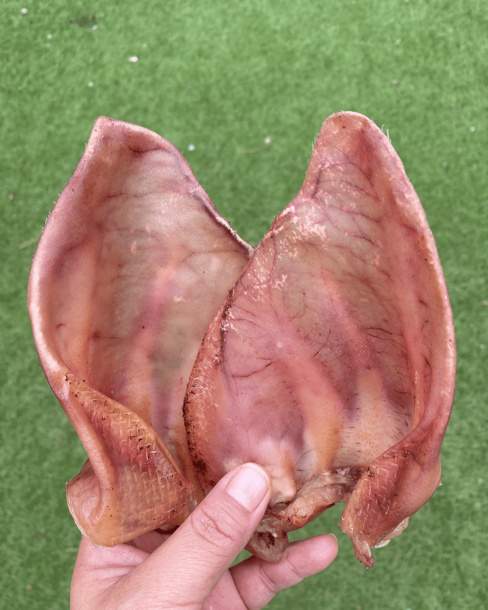 Oreja de cerdo