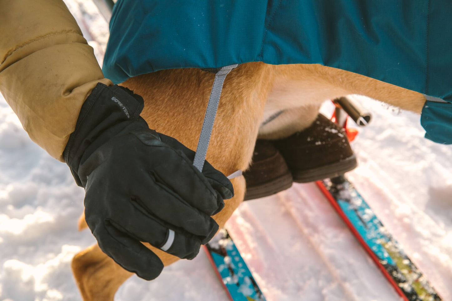 Chamarra para Perro Vert Jacket™ en Verde Aqua (Aurora Teal) de Ruffwear