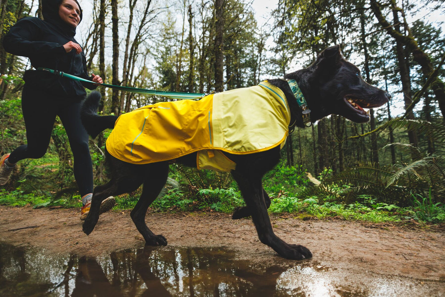 Impermeable Para Perros Sun Shower™ - Resistente al Agua y Viento - Mineral Yellow | Ruffwear®