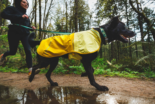 Impermeable Para Perros Sun Shower™ - Resistente al Agua y Viento - Mineral Yellow | Ruffwear®